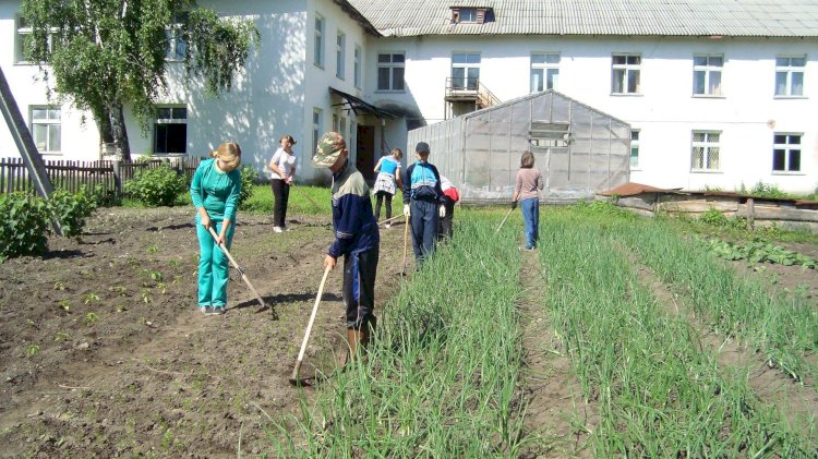 В память об «огородной повинности», которую ученики когда-то отрабатывали на приусадебных участках своих школ. А была ли польза?